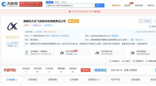 湖南科大讯飞信息科技有限责任公司注销，软件开发领域引发行业关注